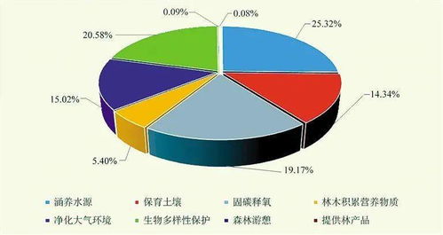 网络技术服务 数字化转型的引擎
